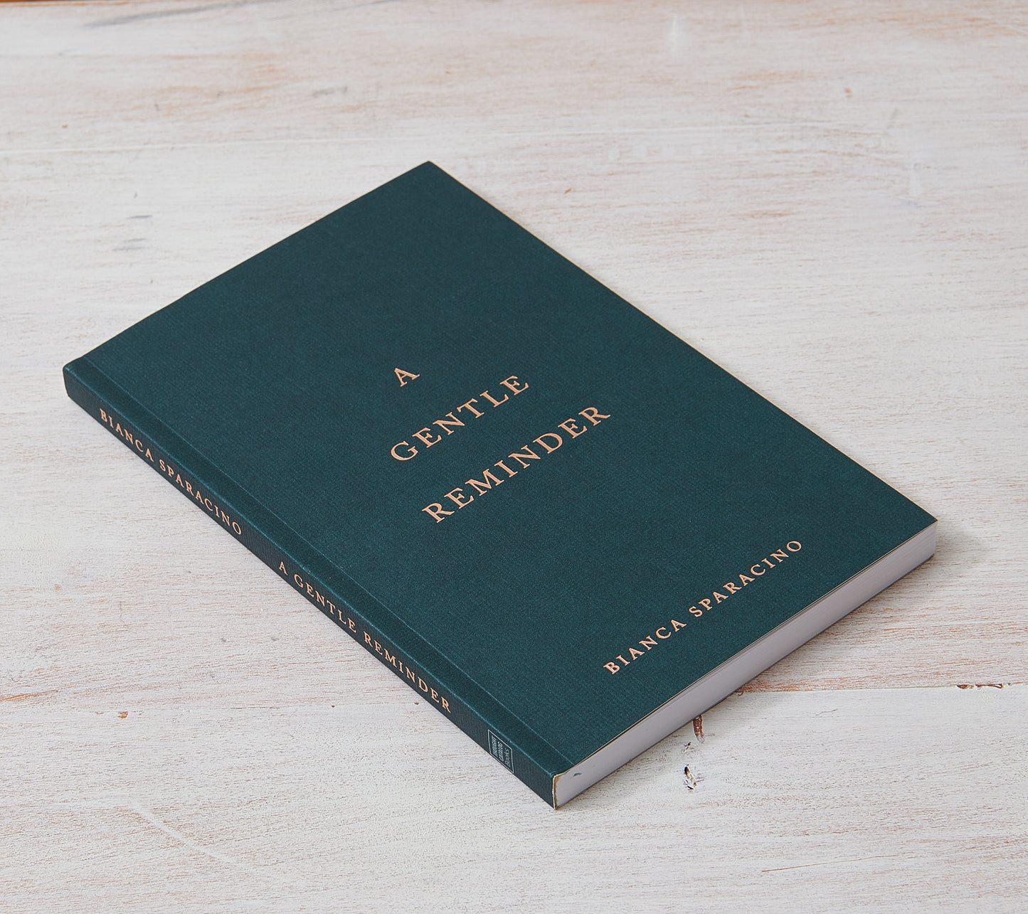 A Gentle Reminder by Bianca Sparacino (@Rainbowsalt)